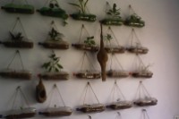 Project : Hanging Garden in my lab